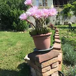 Oca Carolina Panzió Buttigliera Alta