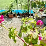 Oca Carolina Panzió 3*