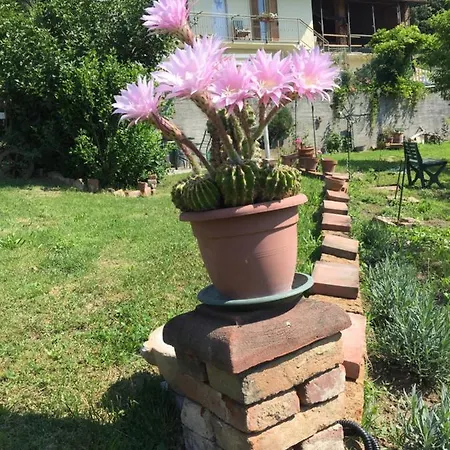 Oca Carolina Bed & Breakfast Buttigliera Alta