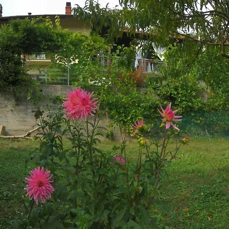 Bed & Breakfast Oca Carolina Buttigliera Alta