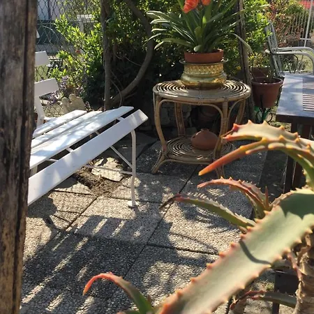 Oca Carolina Buttigliera Alta