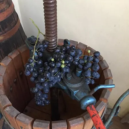 Alojamento de Acomodação e Pequeno-almoço Oca Carolina