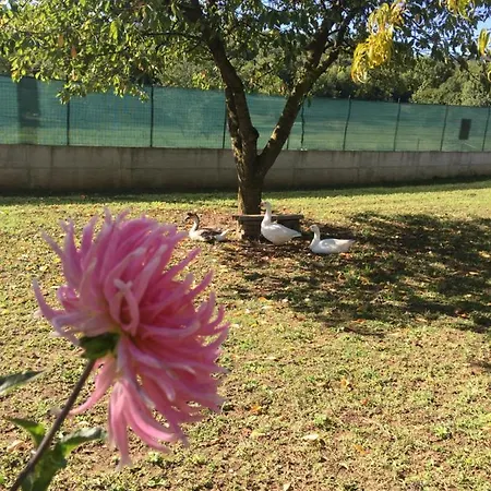 Alojamento de Acomodação e Pequeno-almoço Oca Carolina Buttigliera Alta