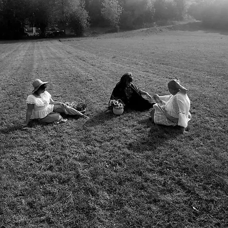 Oca Carolina Buttigliera Alta