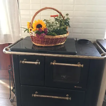 Oca Carolina Buttigliera Alta