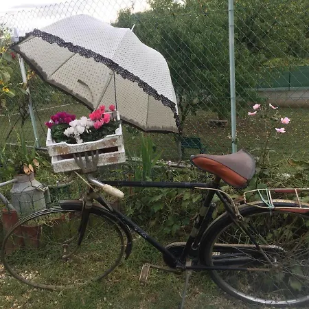 Nocleg ze śniadaniem Oca Carolina