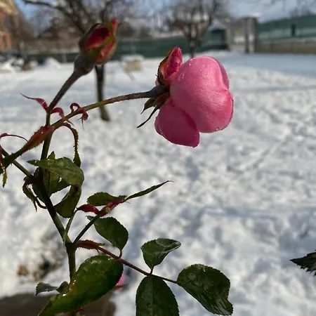 Oca Carolina Nocleg ze śniadaniem Buttigliera Alta