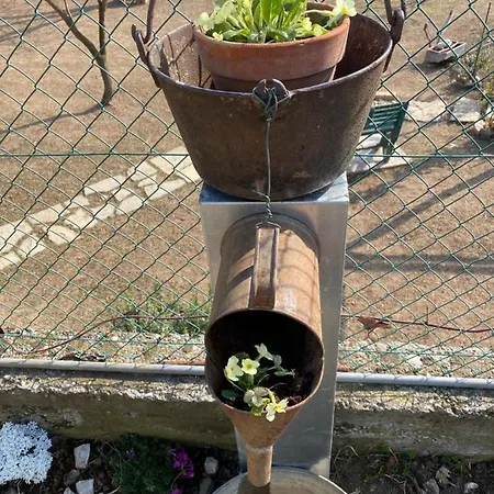 Oca Carolina Nocleg ze śniadaniem 3*