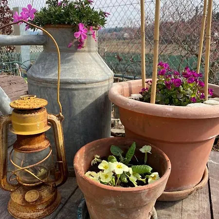 Oca Carolina Bed & Breakfast Buttigliera Alta