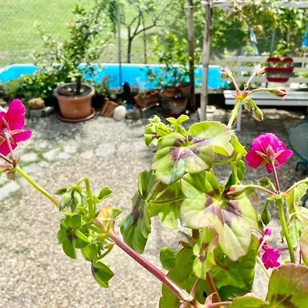 Oca Carolina Bed & Breakfast 3*