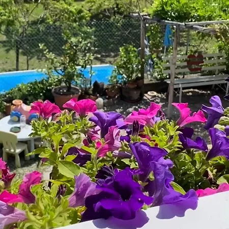 Oca Carolina Bed and Breakfast Buttigliera Alta
