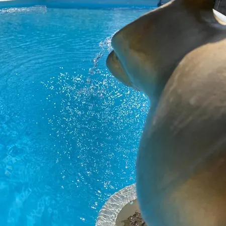 Oca Carolina Oda ve Kahvaltı