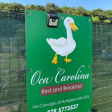 Oca Carolina Nocleg ze śniadaniem