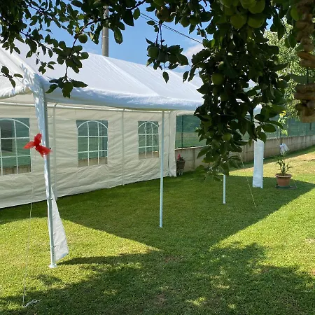 Oca Carolina Buttigliera Alta