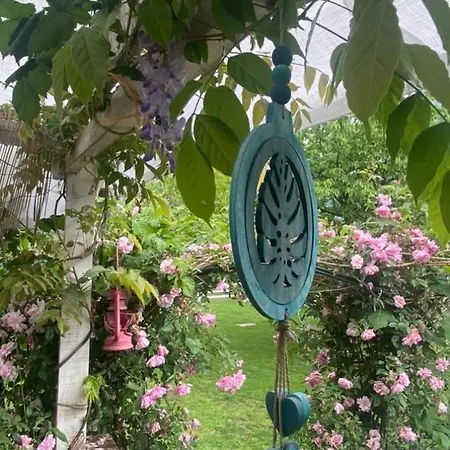 Oca Carolina Bed & Breakfast 3*