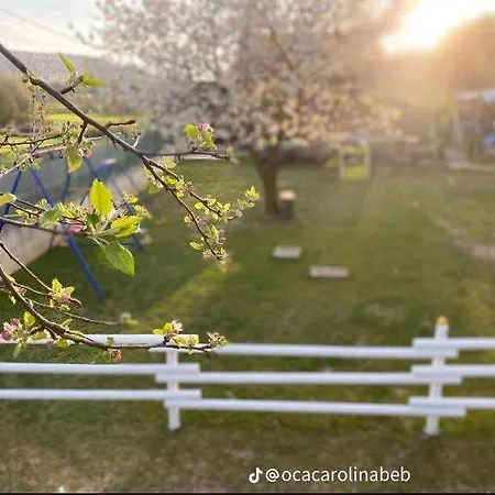 Couette-café Oca Carolina Buttigliera Alta