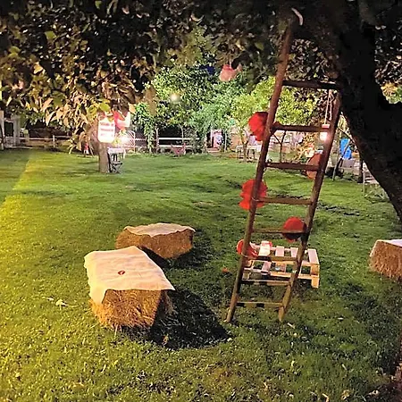 Bed & Breakfast Oca Carolina Buttigliera Alta