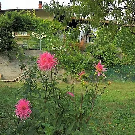 Oca Carolina 3* Buttigliera Alta