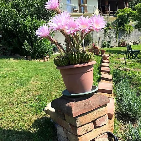 Oca Carolina Bed and Breakfast Buttigliera Alta