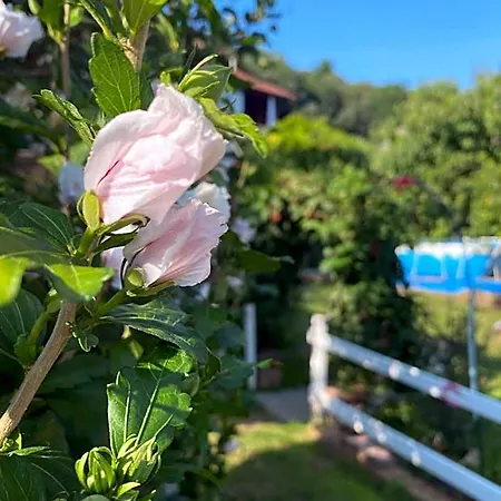 Oca Carolina 3* Buttigliera Alta