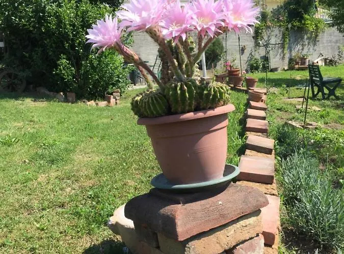 Oca Carolina Bed & Breakfast Buttigliera Alta