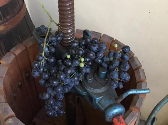 Bed & Breakfast Oca Carolina