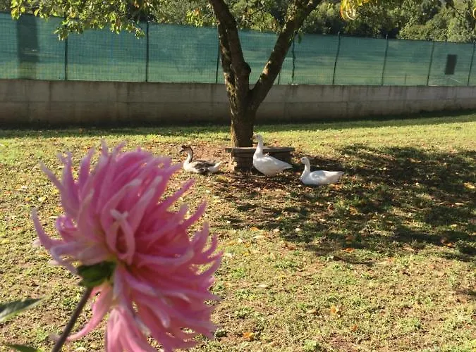 Bed & Breakfast Oca Carolina Buttigliera Alta