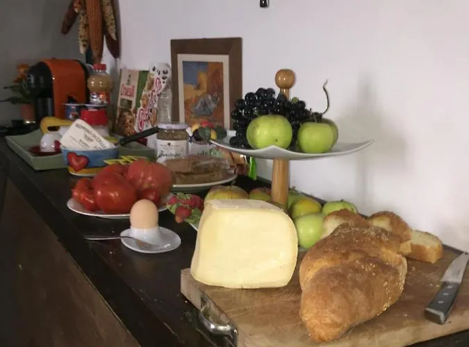 Oca Carolina