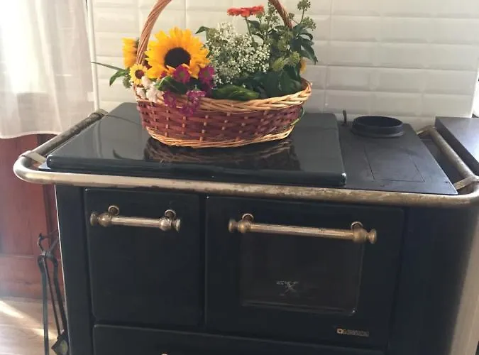 Oca Carolina Buttigliera Alta