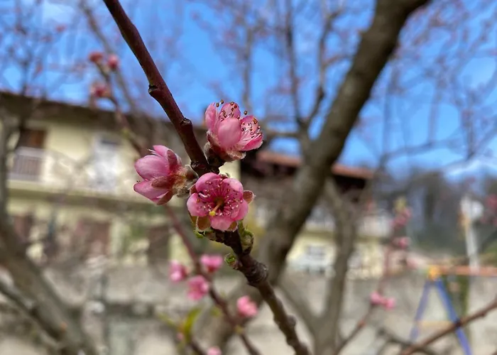 Oca Carolina 3* Buttigliera Alta