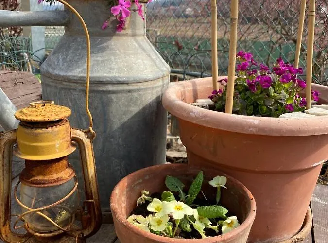Oca Carolina Bed & Breakfast Buttigliera Alta