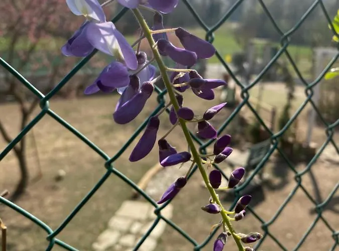 Bed & Breakfast Oca Carolina Buttigliera Alta