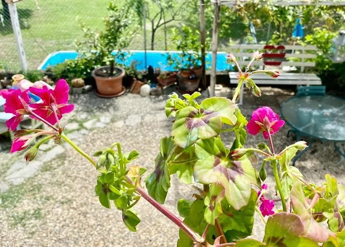 Oca Carolina Bed & Breakfast 3*