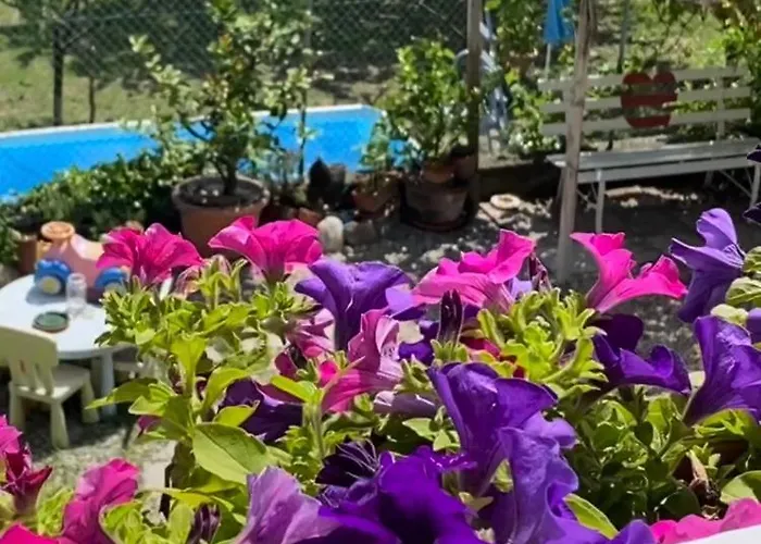 Oca Carolina Bed & Breakfast Buttigliera Alta