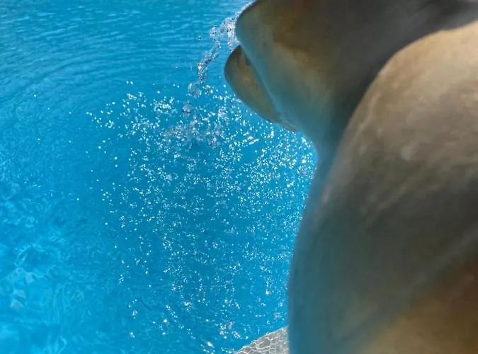 Oca Carolina Nocleg ze śniadaniem