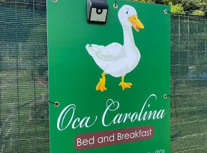 Oca Carolina Bed & Breakfast