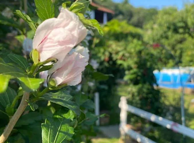 Bed & Breakfast Oca Carolina