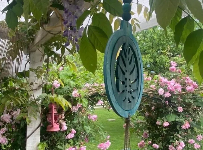 Oca Carolina Bed & Breakfast 3*